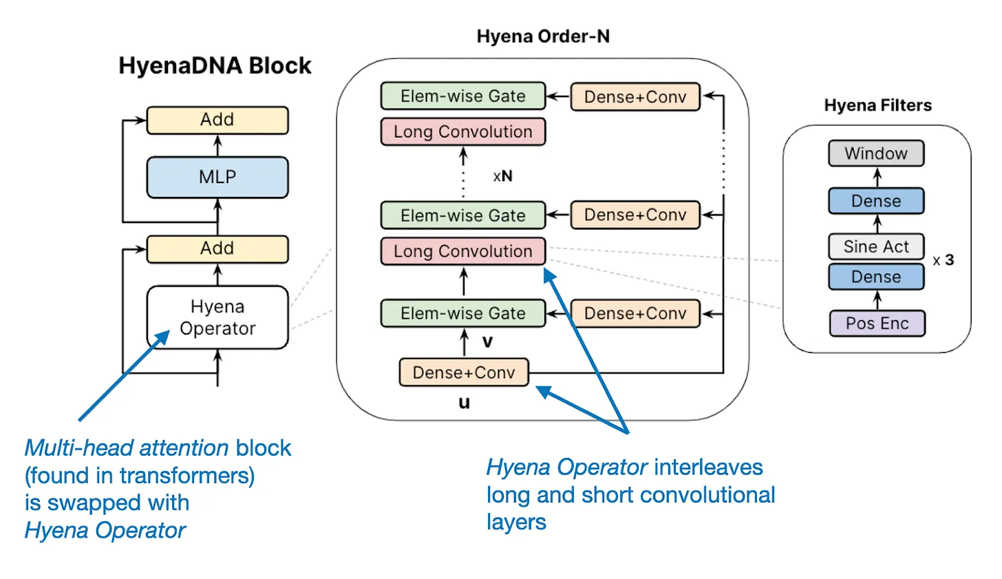 Hyena LLM 结构图